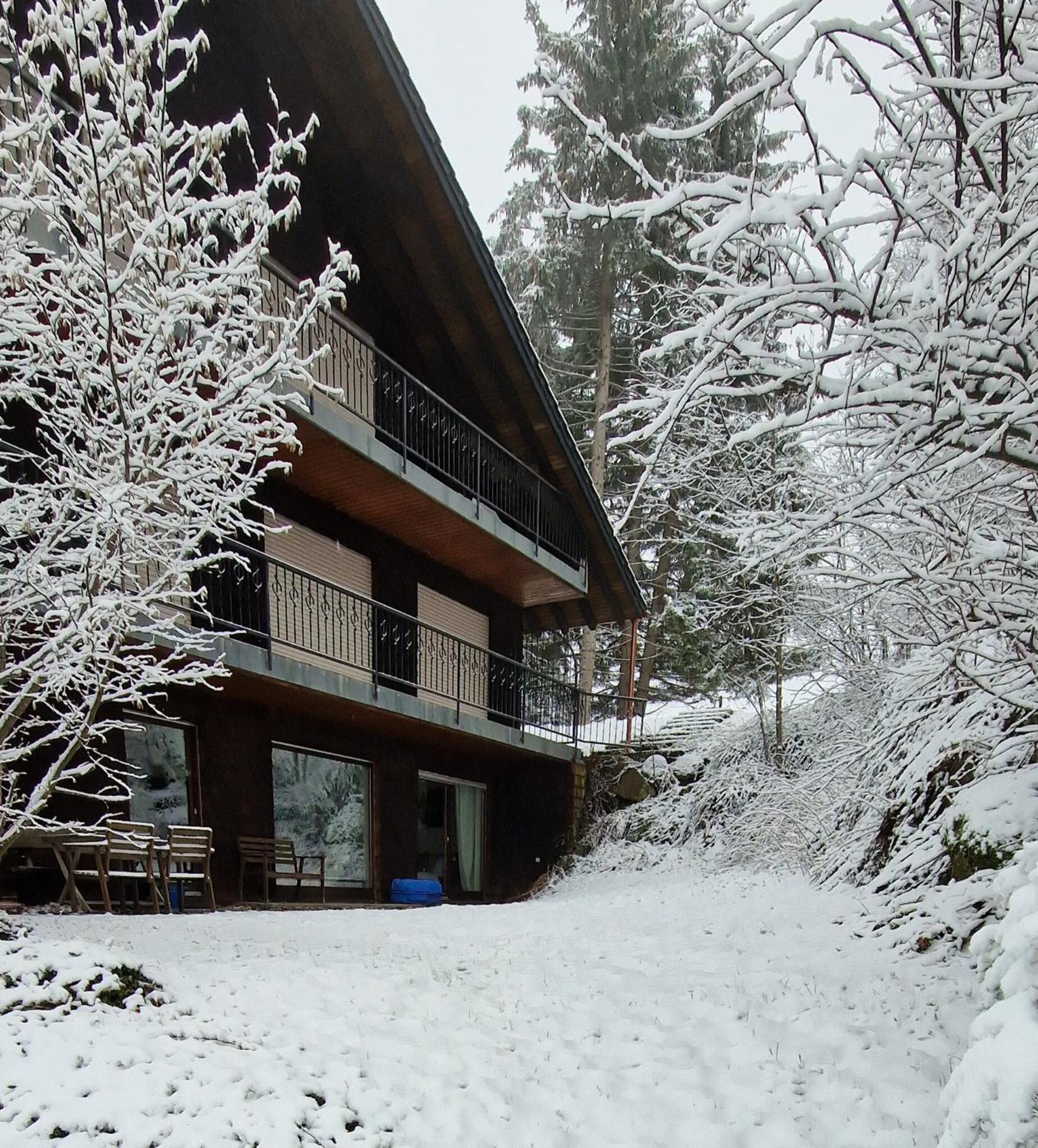 Ferienwohnung In Schoenwald Schwarzwald エクステリア 写真