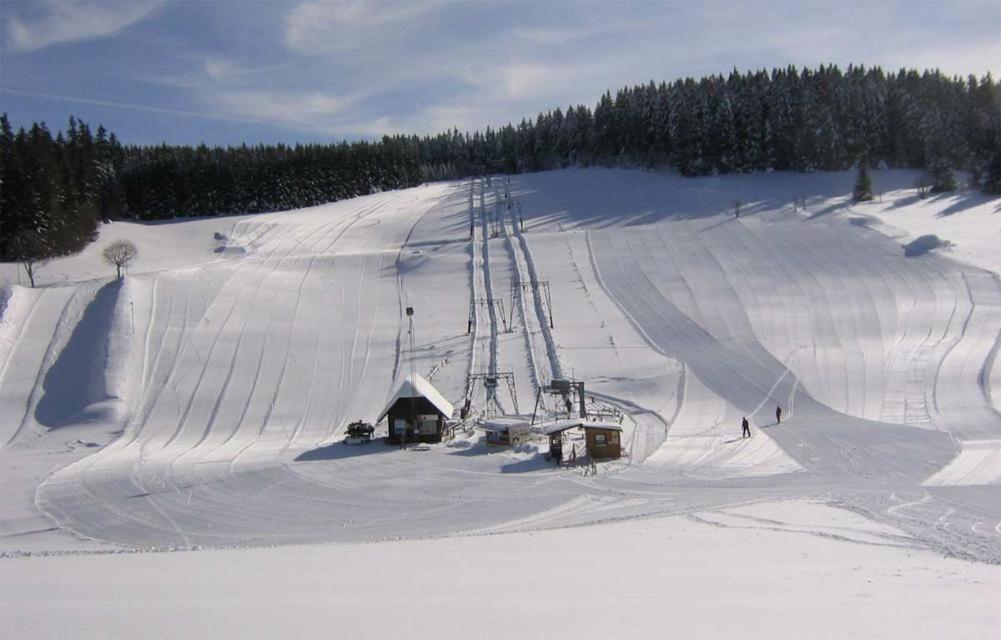 Ferienwohnung In Schoenwald Schwarzwald エクステリア 写真