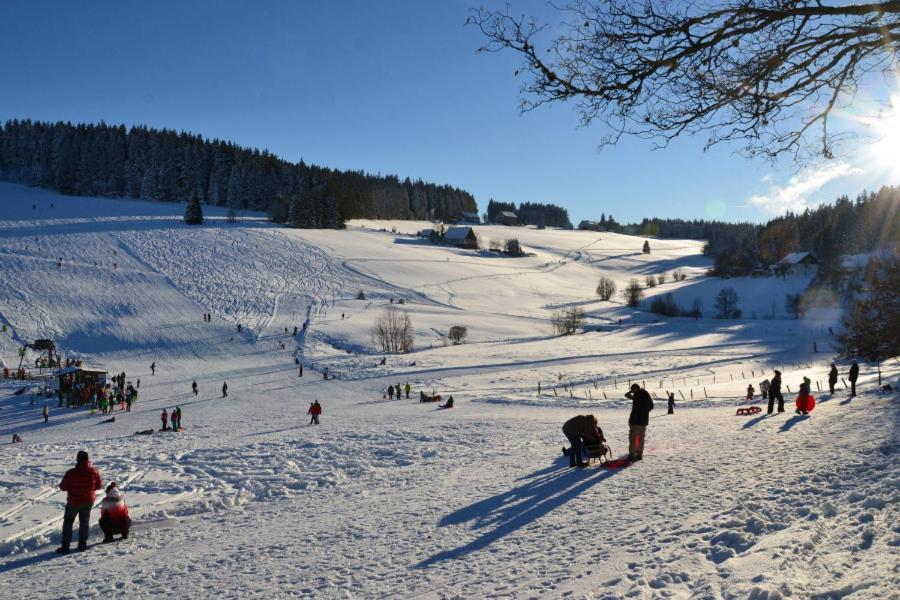 Ferienwohnung In Schoenwald Schwarzwald エクステリア 写真
